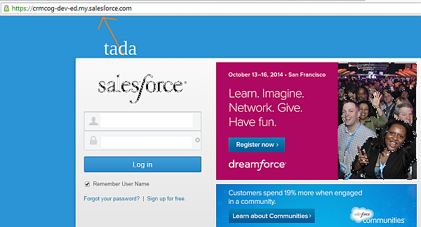 salesforce.com configure custom domains