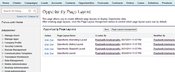 salesforce.com role specific requirements page layout