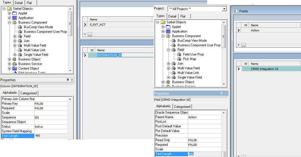 siebel user property limit length field