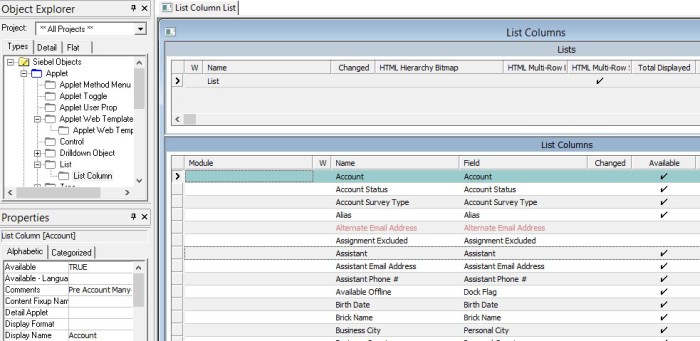 list object in siebel applet