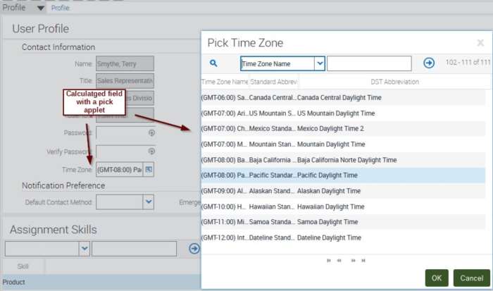 user profile form applet with editable calculated field