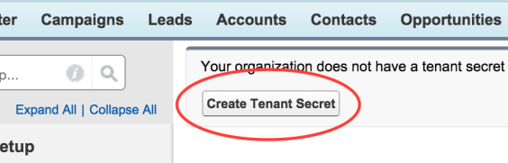 create tenant secret for SFDC platform encrypt.png