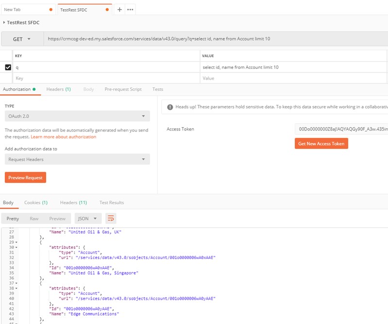 postman sfdc rest api call results