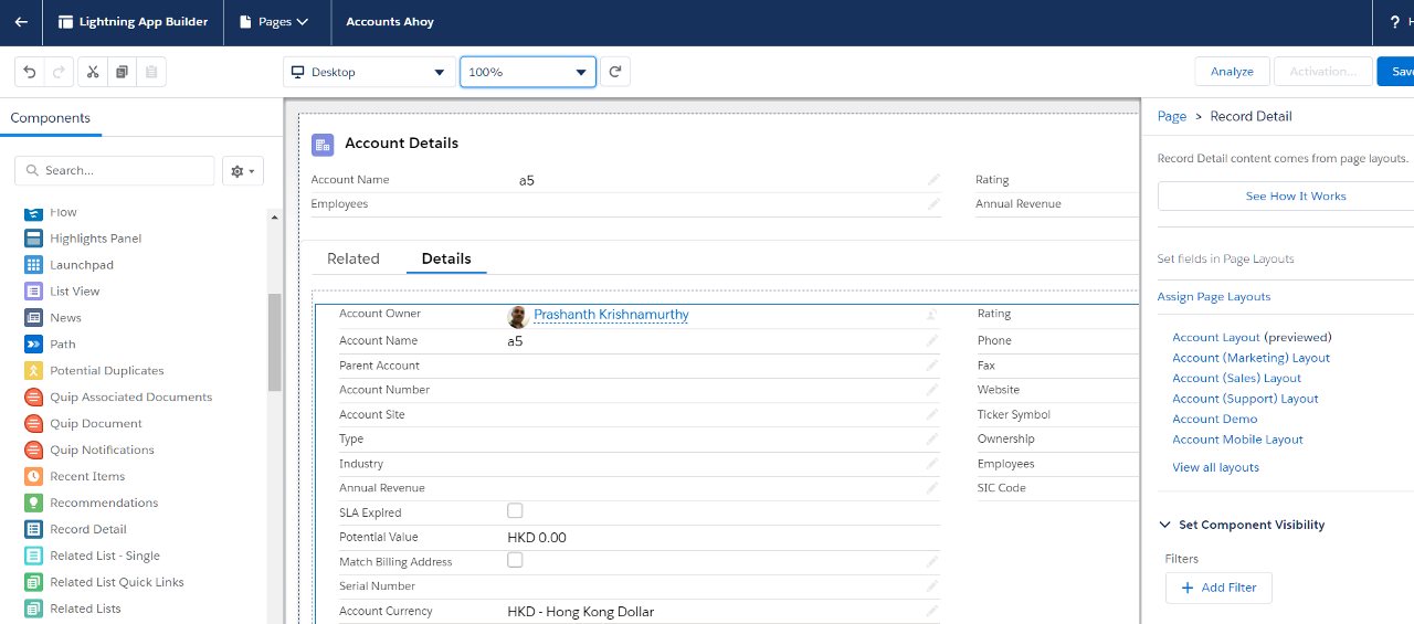 Dynamic Forms for Detail Views in Salesforce - crmcog